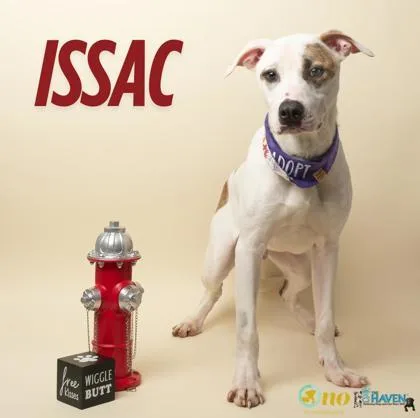 Issac