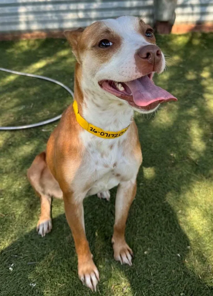 Shiffrin thumbnail 2