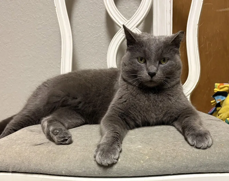 Smokey Momma thumbnail 2