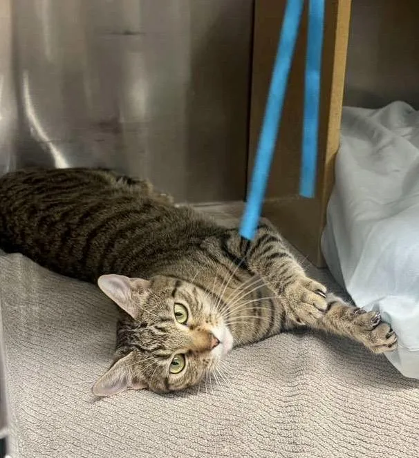 Lucille Bluth thumbnail 4