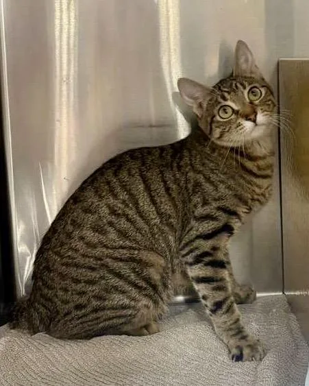 Lucille Bluth thumbnail 5