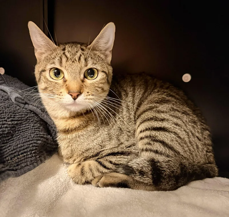 Lucille Bluth thumbnail 6