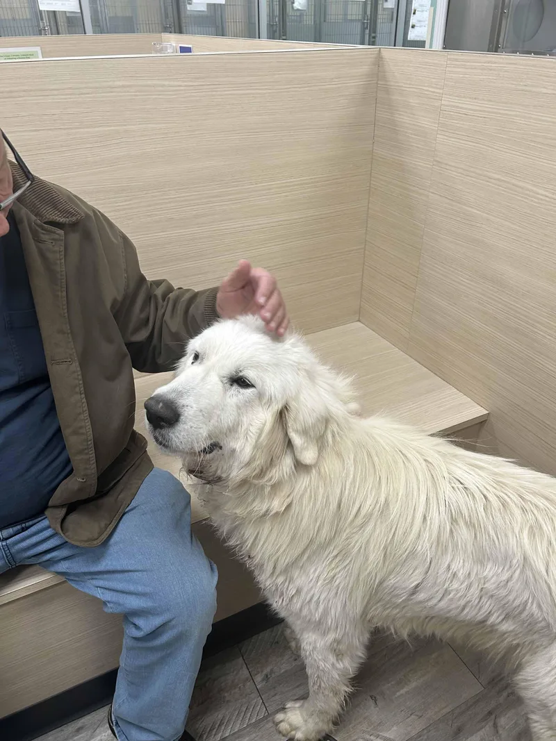 Memphis Dfw thumbnail 2