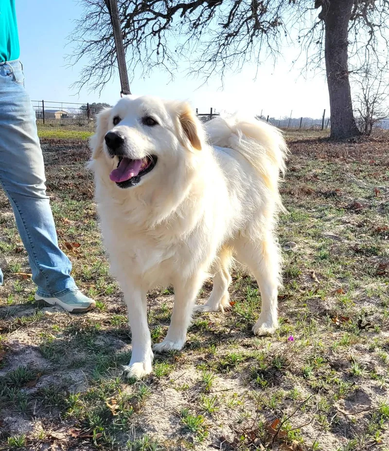 Missy Millie Sat thumbnail 2