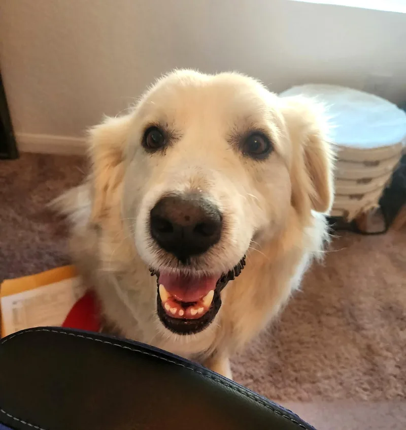 Missy Millie Sat thumbnail 3