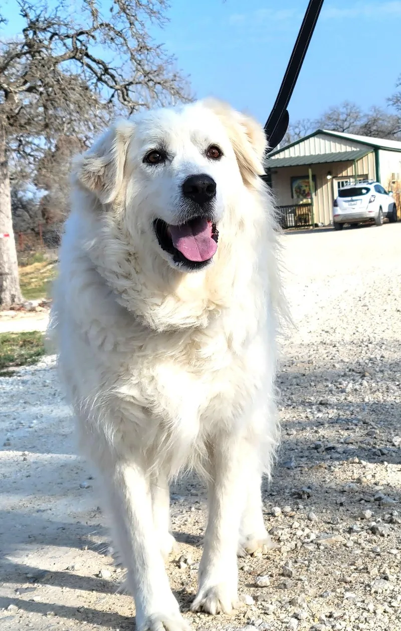 Missy Millie Sat thumbnail 5