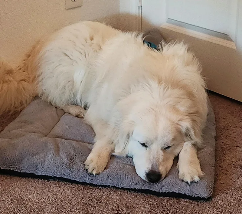 Missy Millie Sat thumbnail 6