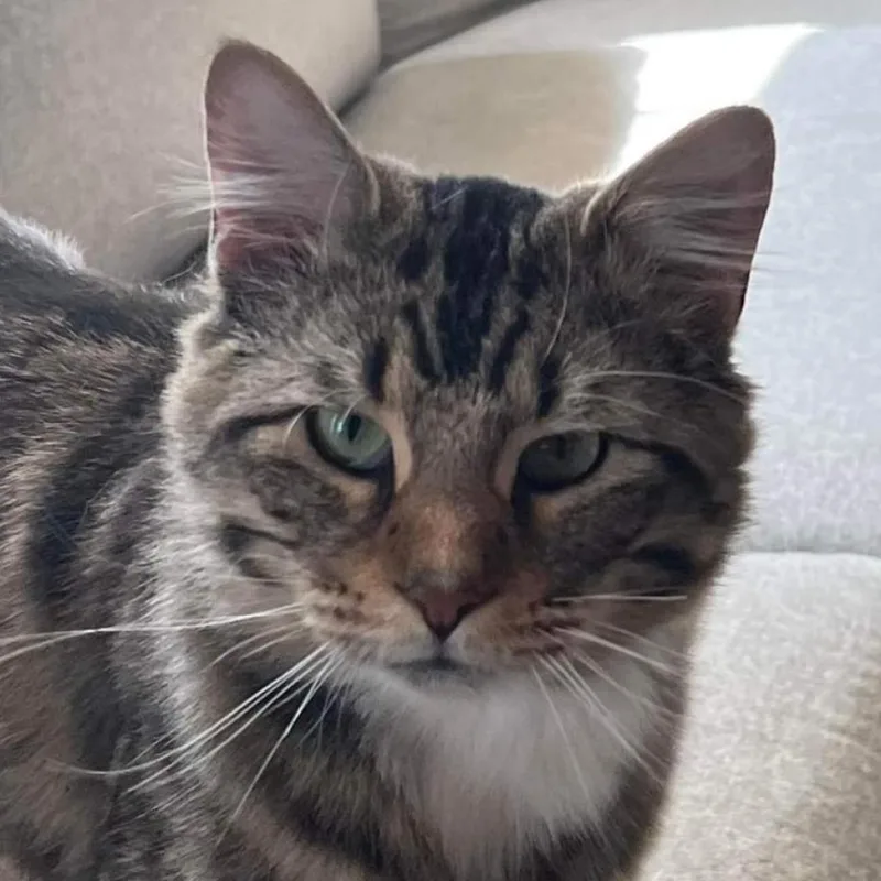 Hobie Cat thumbnail 5