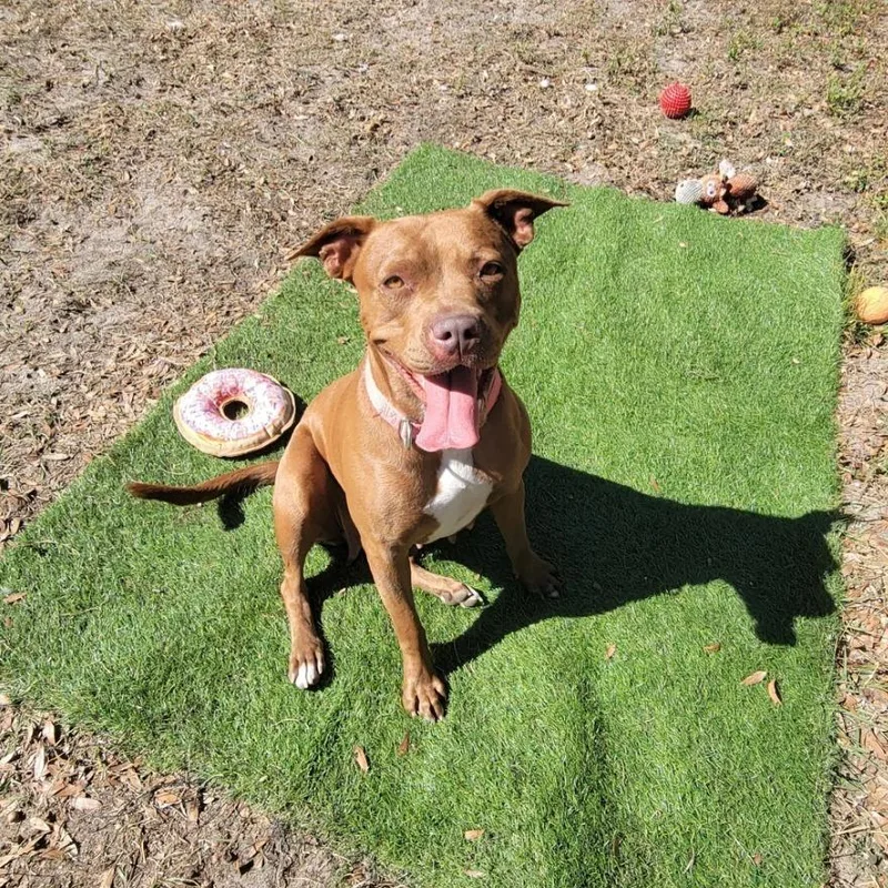 Bright Eyes thumbnail 2