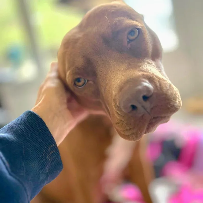 Bright Eyes thumbnail 3