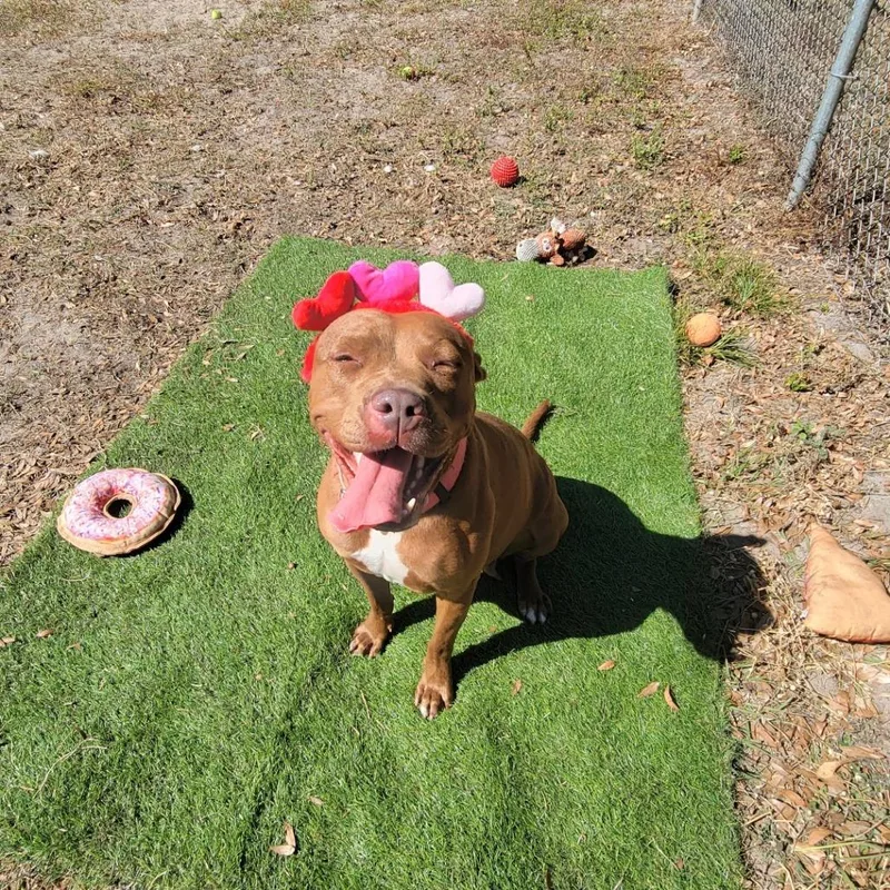 Bright Eyes thumbnail 6