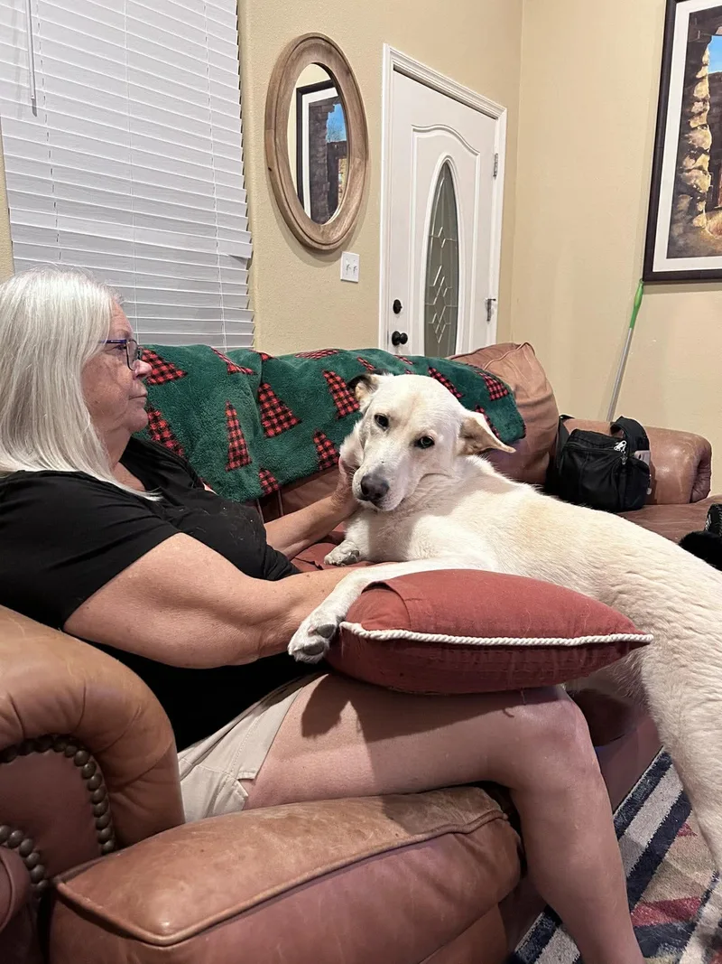 Peluchina thumbnail 2