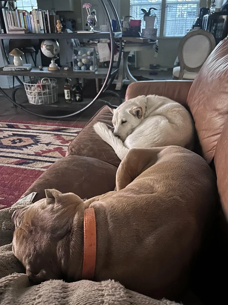 Peluchina thumbnail 4