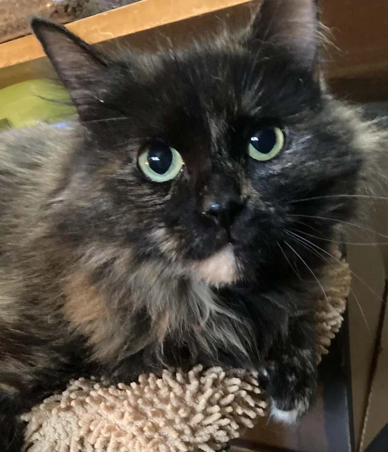 Emberlyn thumbnail 5