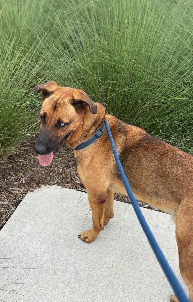 Bleu Moon thumbnail 3