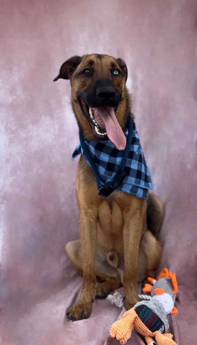 Bleu Moon thumbnail 4