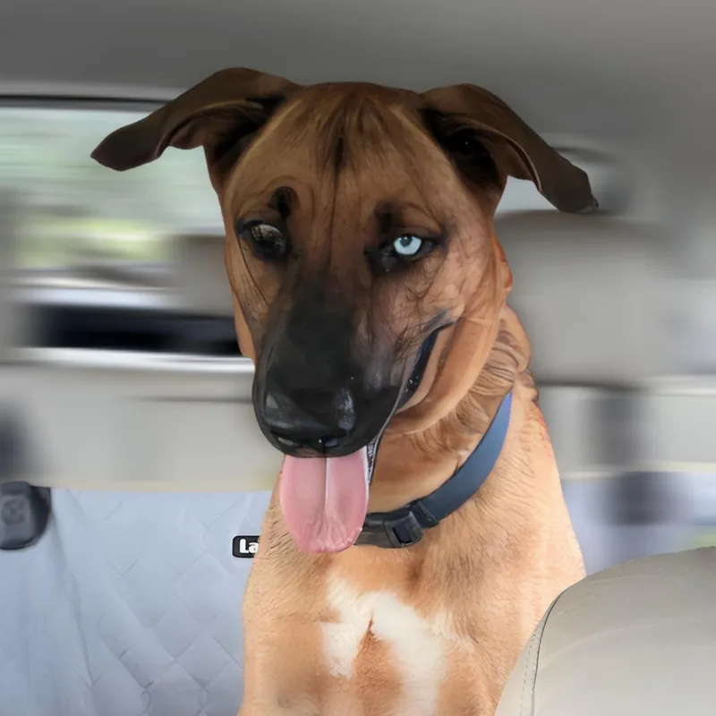 Bleu Moon thumbnail 5