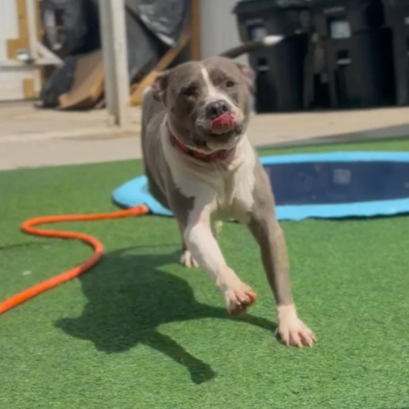 Clementine thumbnail 3