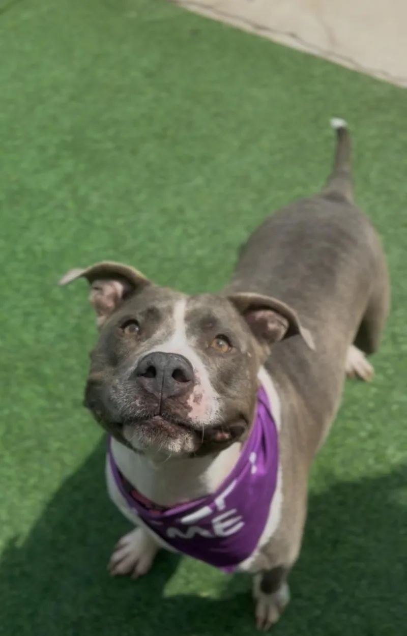 Clementine thumbnail 5