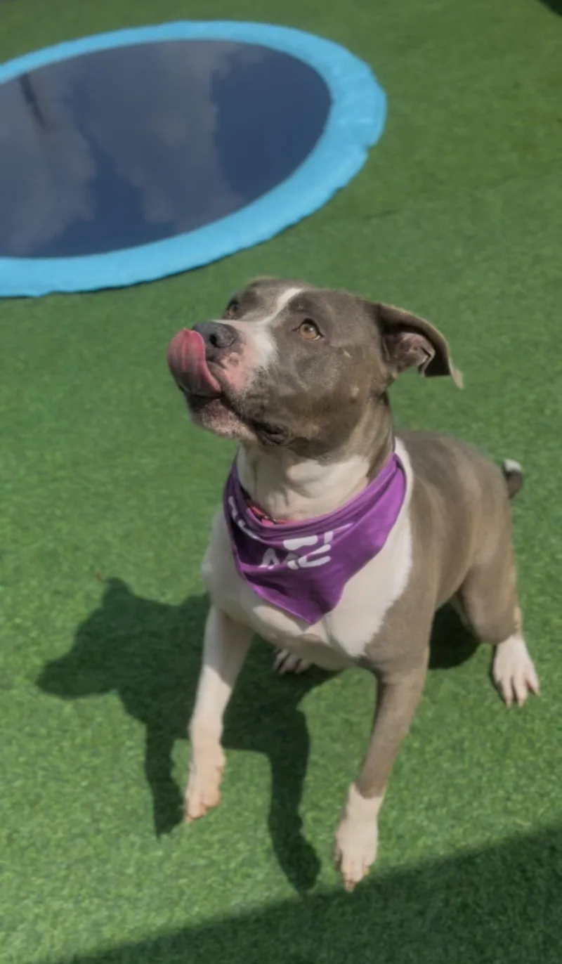 Clementine thumbnail 6