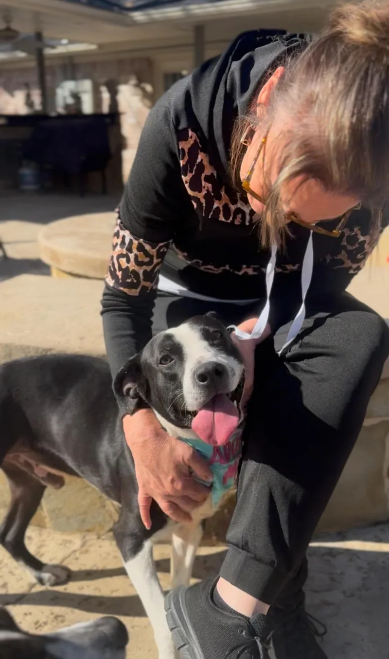 Moonbeam thumbnail 4