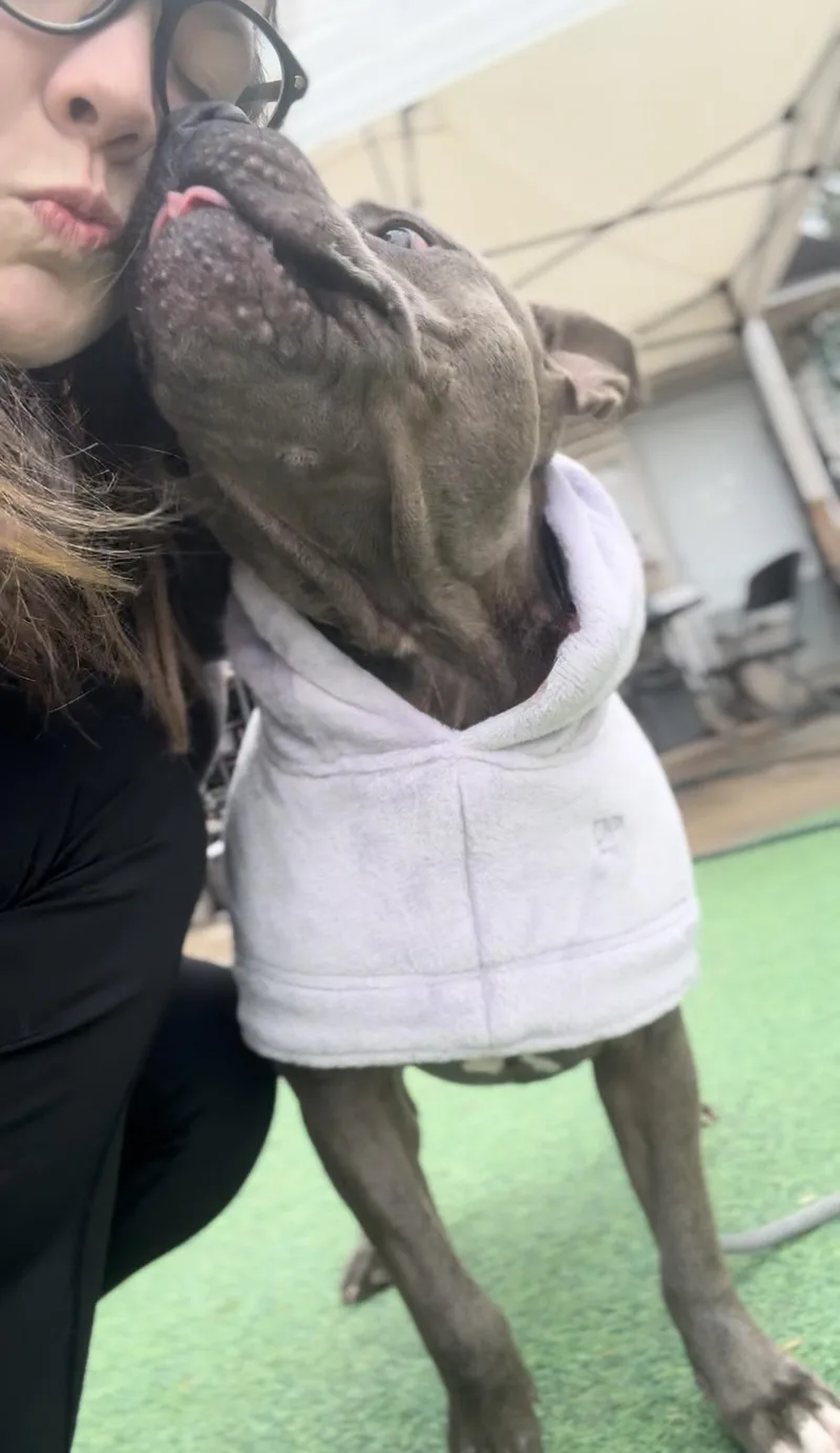 Mr. Piggy Pants thumbnail 6