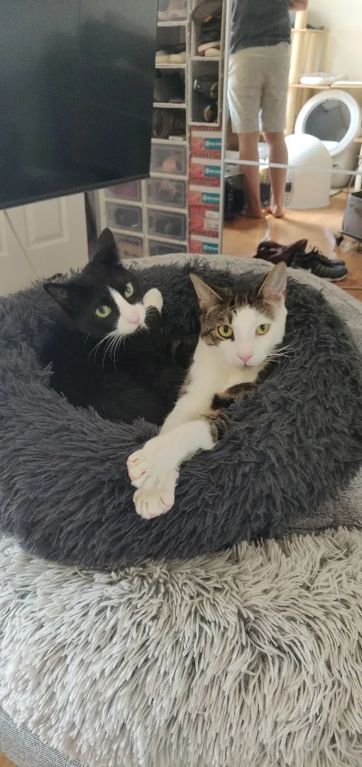 Roo & Guin thumbnail 3