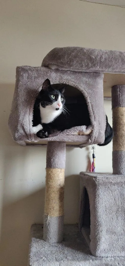 Roo & Guin thumbnail 5