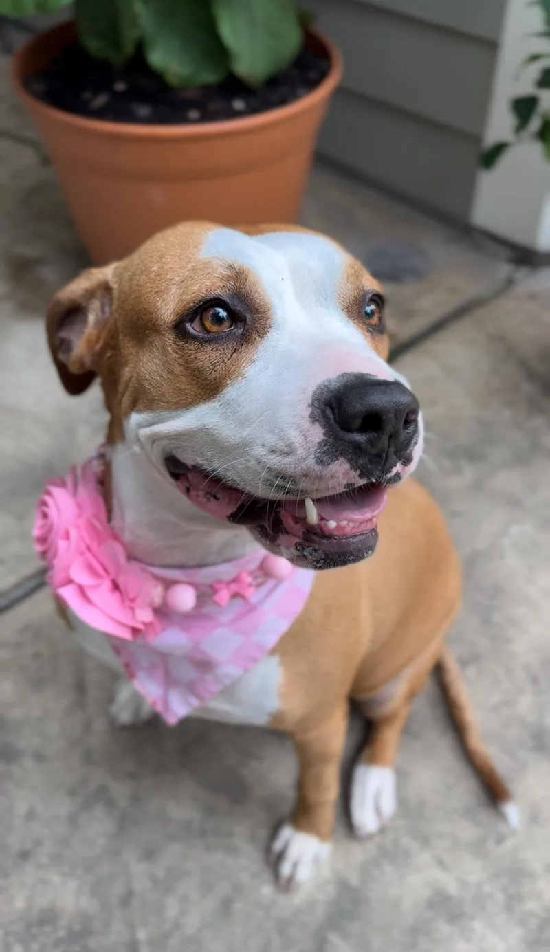 Sasha Le Posha thumbnail 2