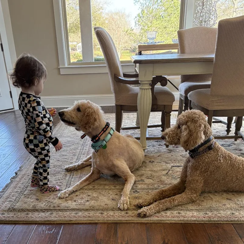 Huey Howard thumbnail 5