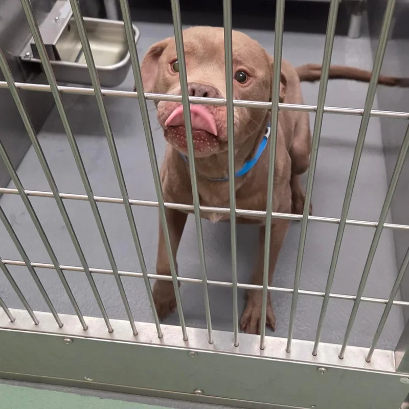 Lil Foot thumbnail 2