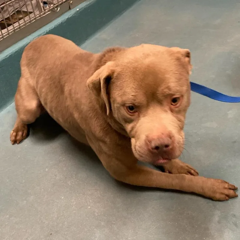 Lil Foot thumbnail 3