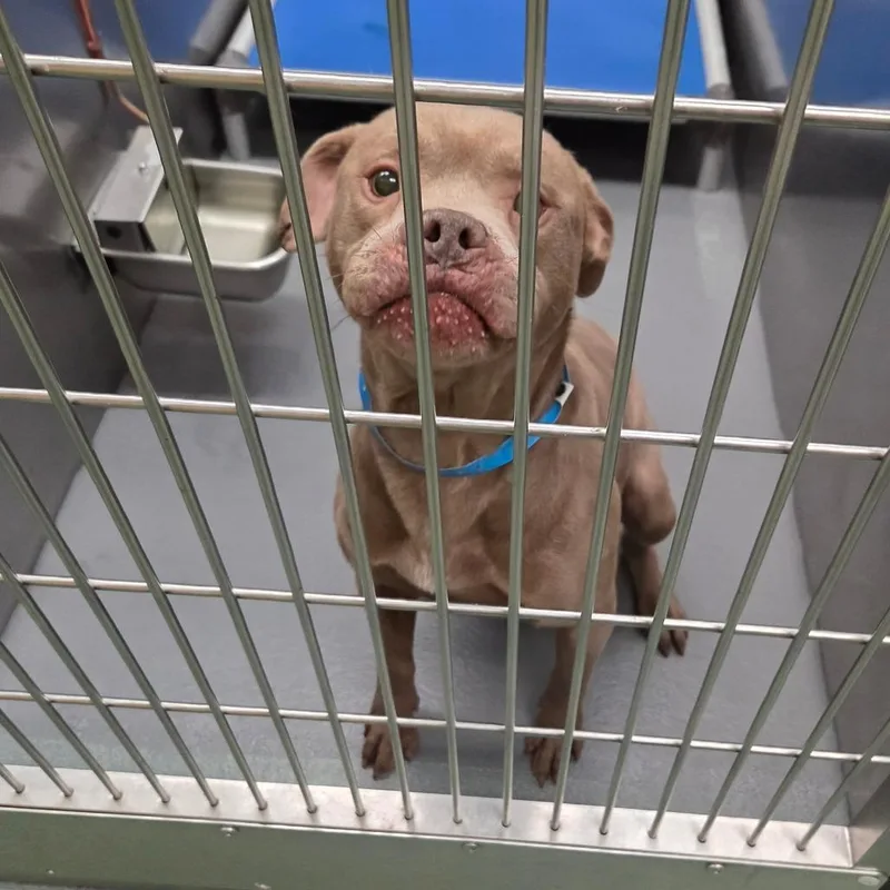 Lil Foot thumbnail 4