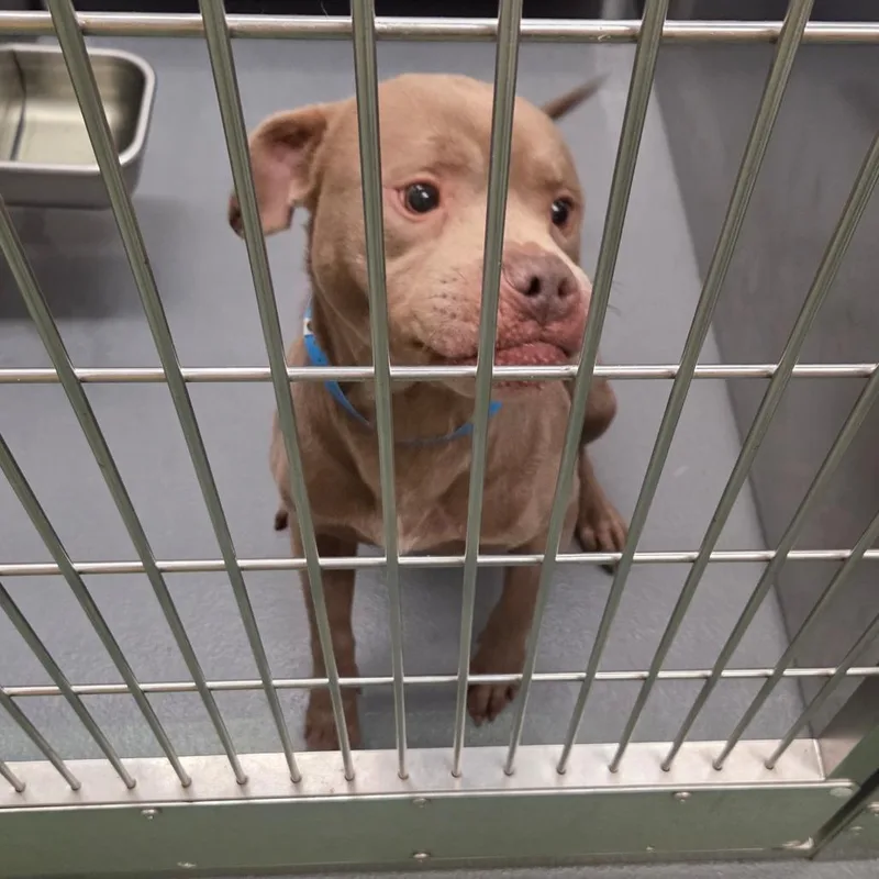 Lil Foot thumbnail 5