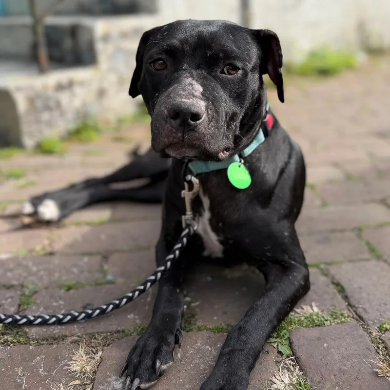 Lucille Pawll thumbnail 2