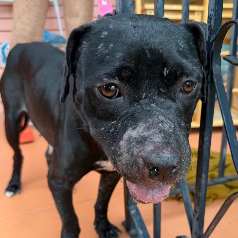 Lucille Pawll thumbnail 3