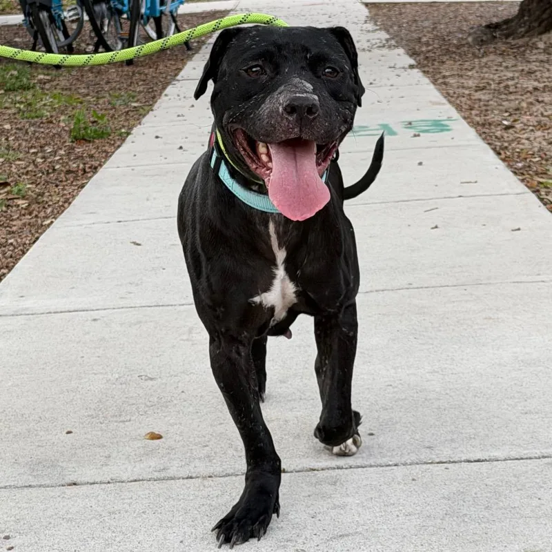 Lucille Pawll thumbnail 4