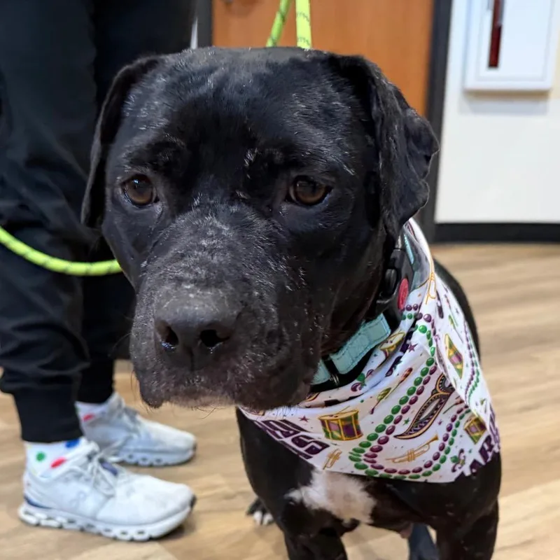 Lucille Pawll thumbnail 5