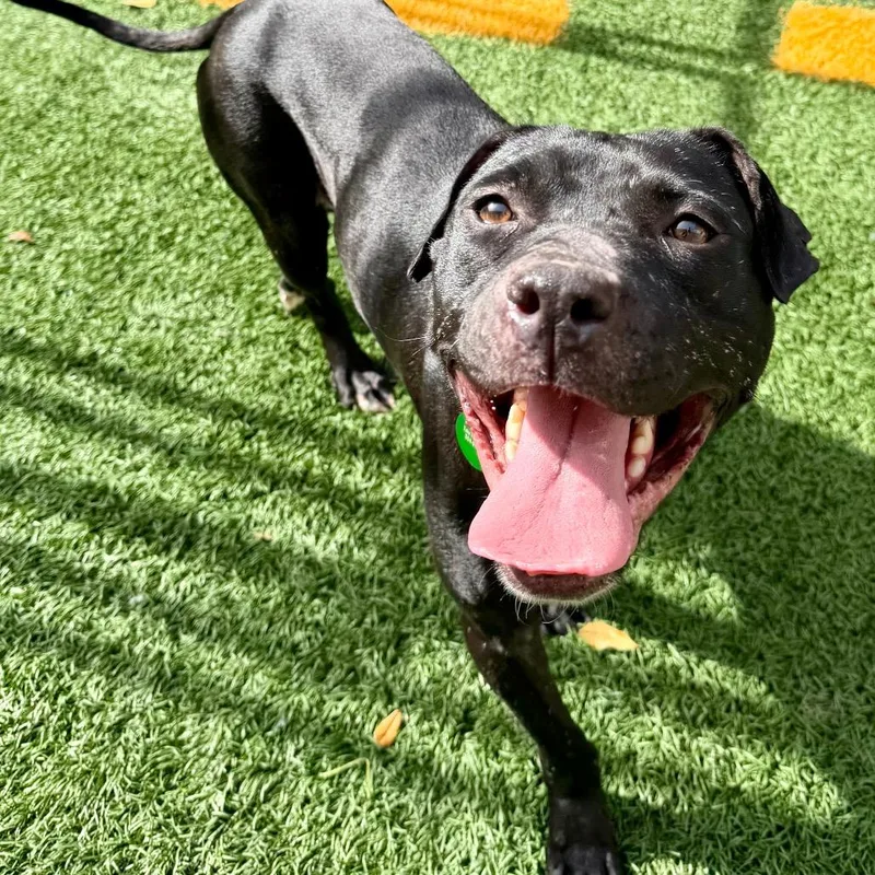 Lucille Pawll thumbnail 6