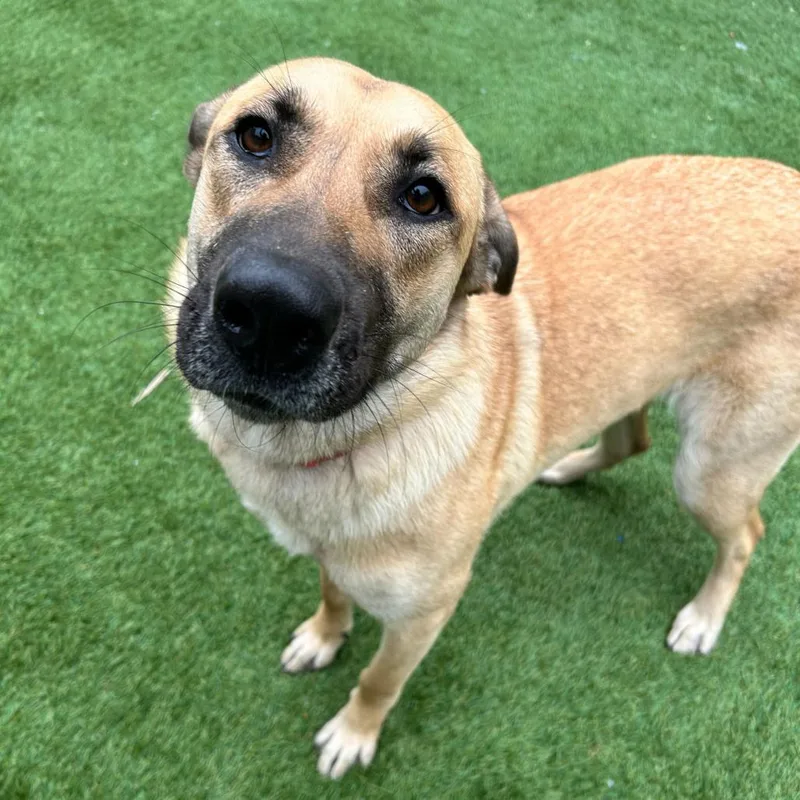 Charlotte De' Vebb thumbnail 2