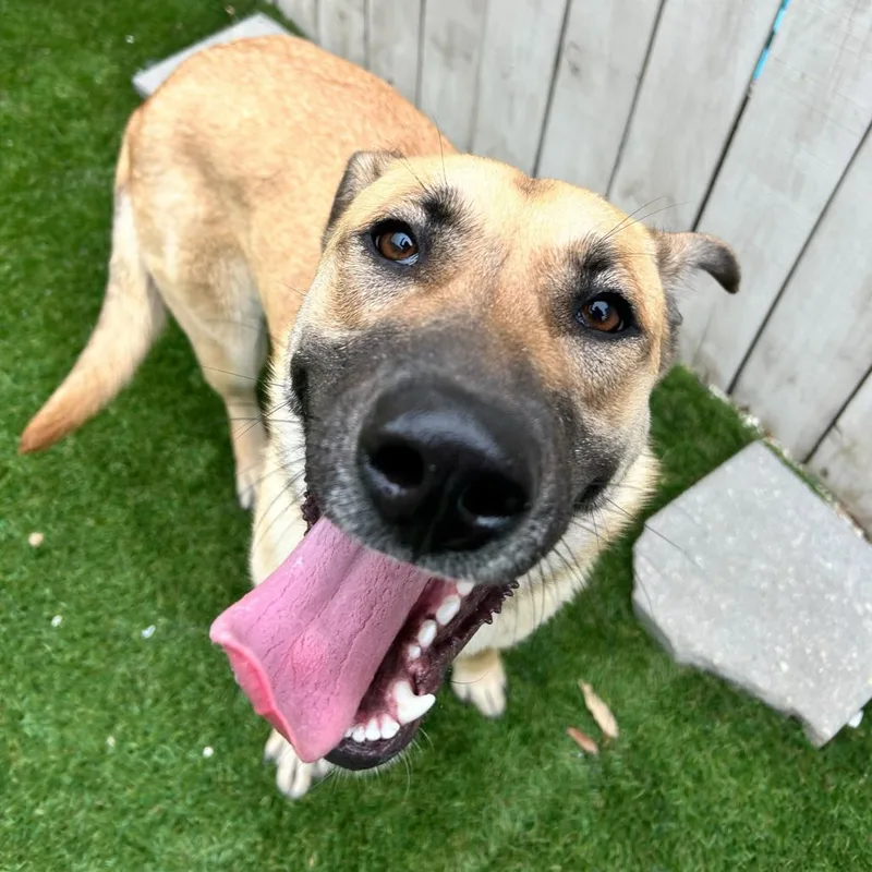 Charlotte De' Vebb thumbnail 3