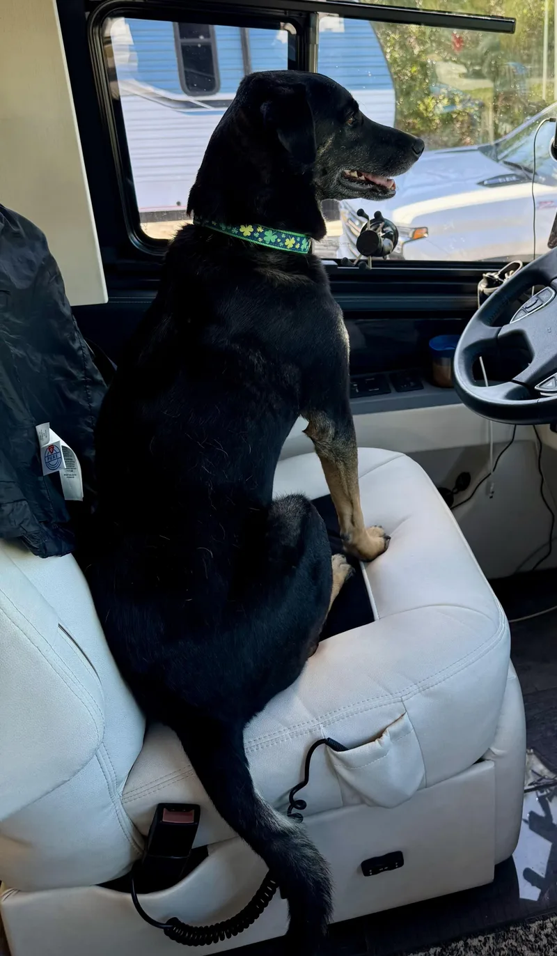 Guinness thumbnail 2