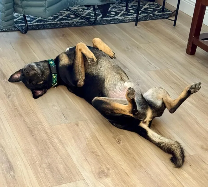 Guinness thumbnail 3