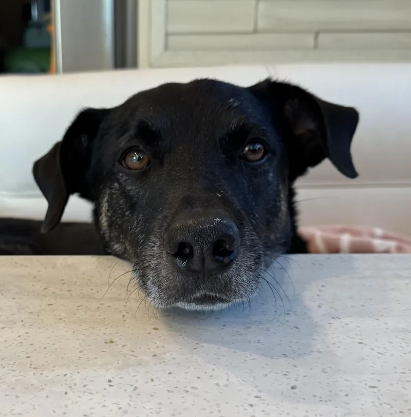 Guinness thumbnail 4