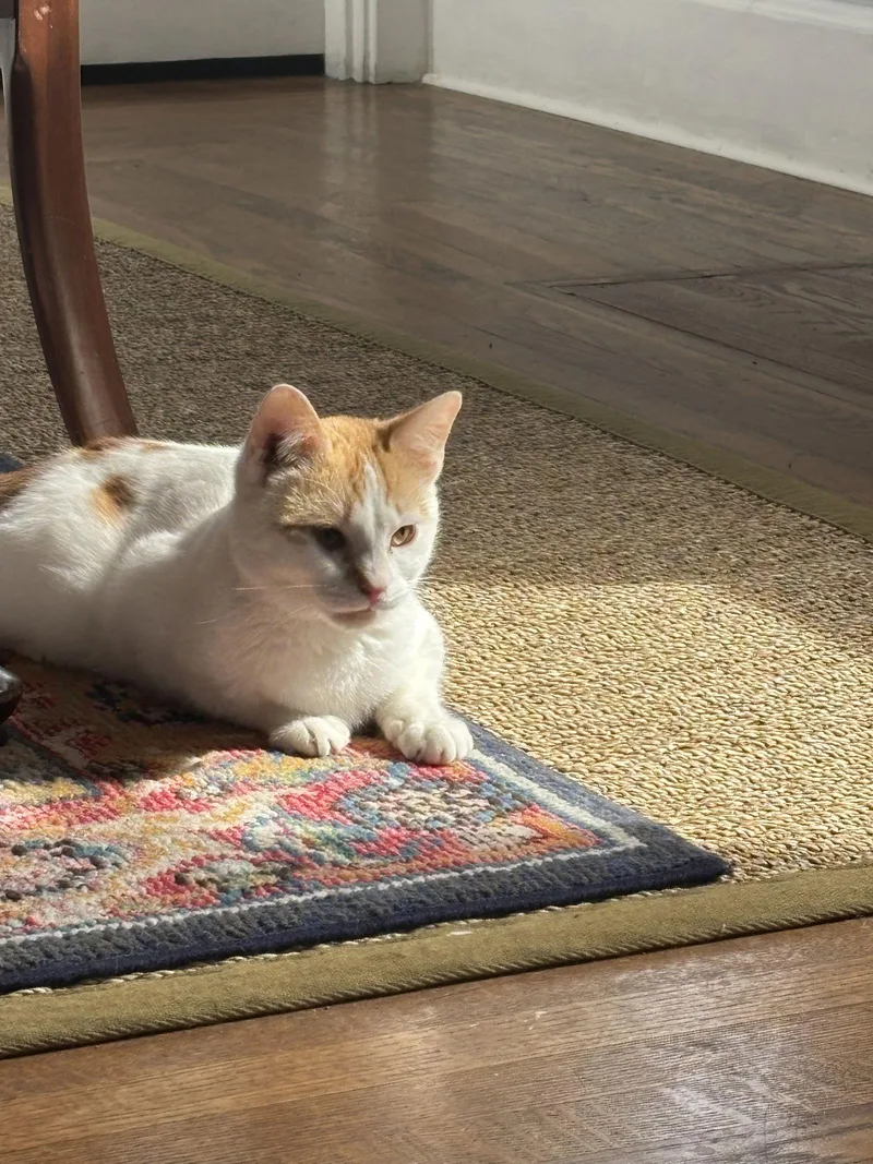 Captain Crunch thumbnail 2