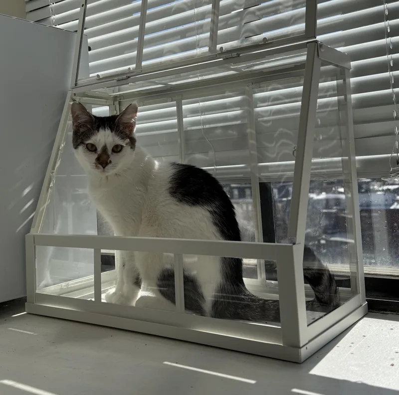 Patty & Tate thumbnail 4