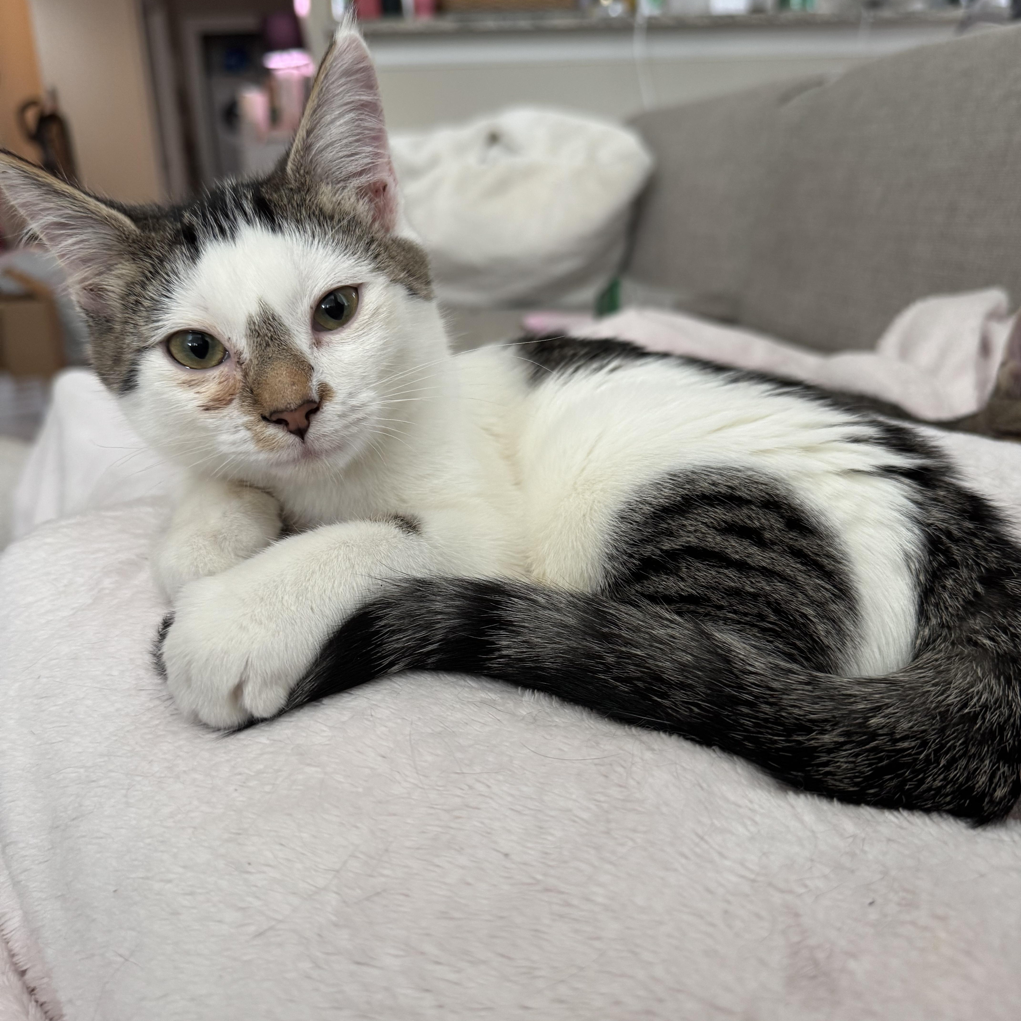 Patty & Tate thumbnail 5