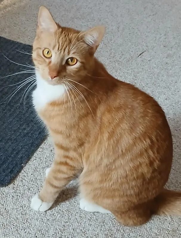 Sundance thumbnail 2