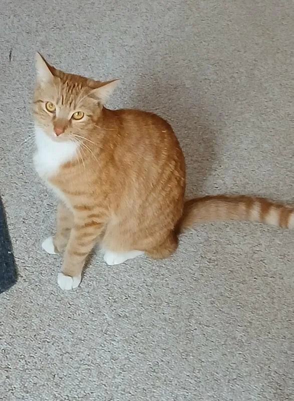 Sundance thumbnail 3