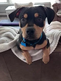 Little Man thumbnail 5